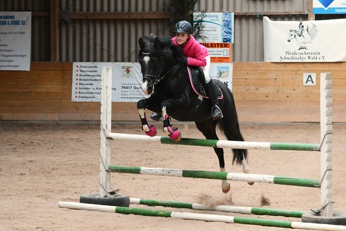 006_Reitponyhengst_Diamand_Black_B_k