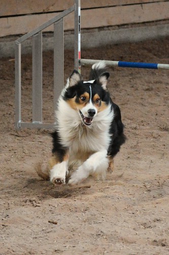 020_Agility_k