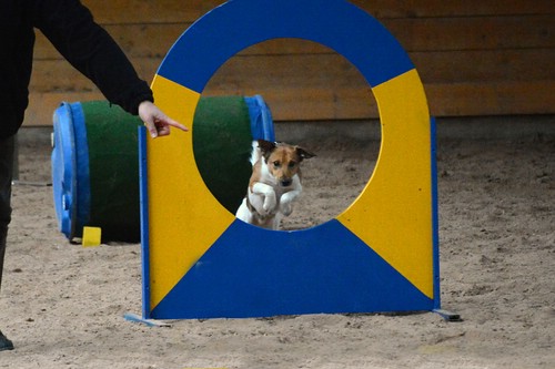 025_Agility_k