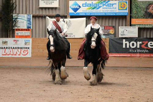 078_Pas_De_Deux_Shire_Clydesdales_k