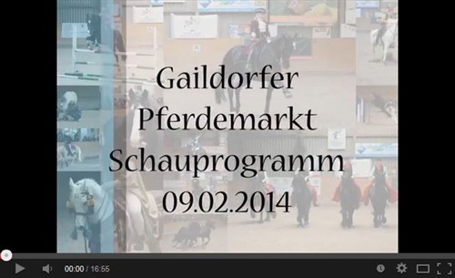 Pferdemarkt 2014 Video